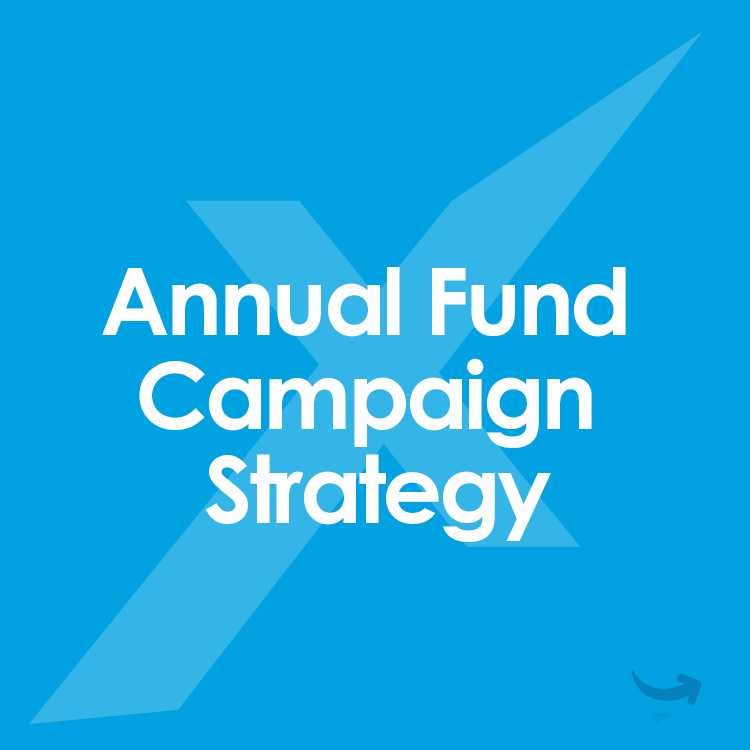 annual-fund-campaign-strategy-icon-mixed-digital-edu-independent-schools-consulting