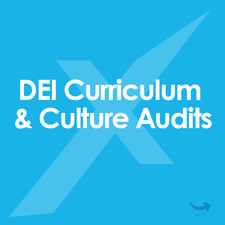 dei-curriculum-culture-audits-icon-mixed-digital-edu-independent-schools-consulting