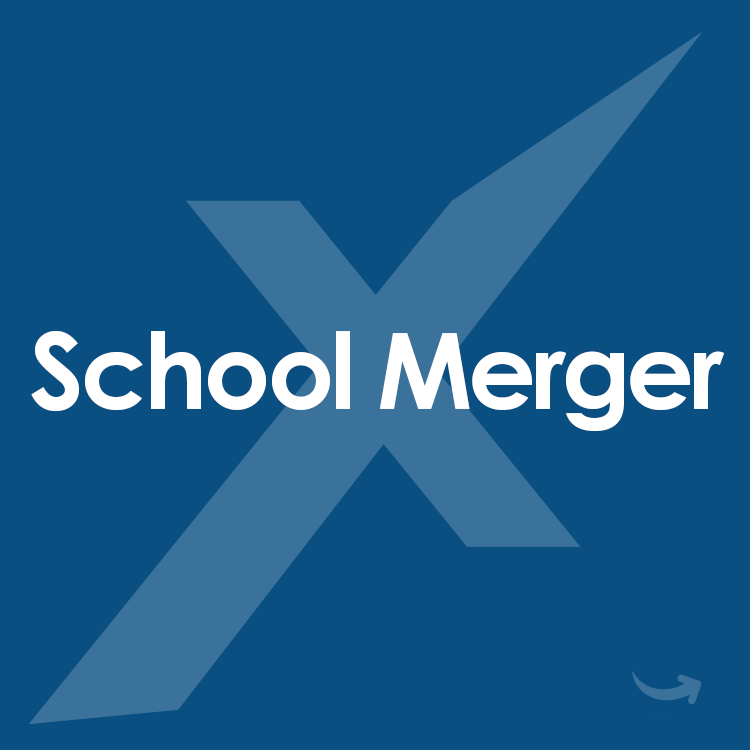 school-merger-icon-mixed-digital-edu-independent-schools-consulting