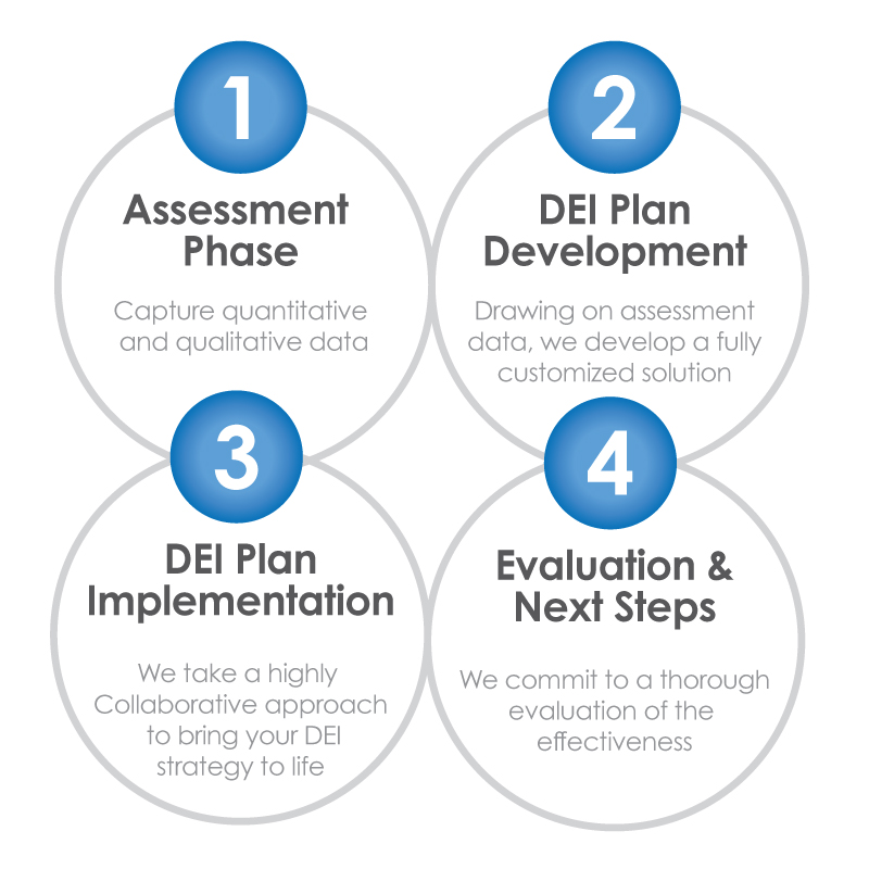 DEI-Process-Graphic-mixed-digital-edu-independent-schools-consulting